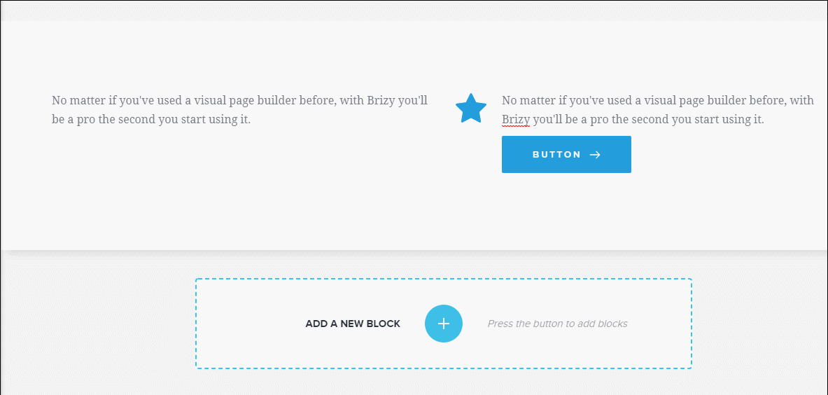Brizy interface