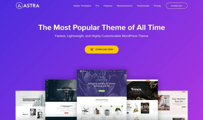 Astra theme